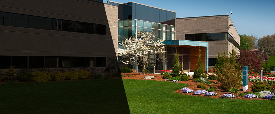 Blackville Landscapers