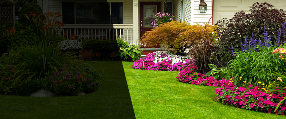 Blackville Landscapers