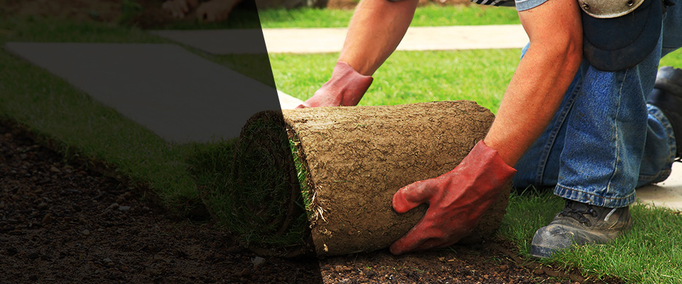 Blackville Landscapers